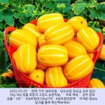 2022-05-05 ^ 38900원 ^ 당도보장 최상급 성주 참외 5kg 3kg 정품 로얄과 고당도 농장직송, 가정용참외 5kg 로얄과(10~20과)