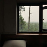 Kyurim Kim on Instagram: “비오는 감귤밭에서 맞이한 아침 #다이빙맛” em 2020