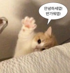 안녕하세엽!!