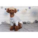 Pin page #러브핫핏  #자수 #이름 새긴 옷은 처음이지? . . 멍한 표정 매력터져 >< . . #푸들요조 #애견의류 #LOVEHOTFIT… | Teddy... 