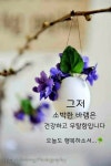 인사말에 있는 Sandra님의 핀 | 좋은 아침 인사, 좋은 아침 이미지, 감사 일기