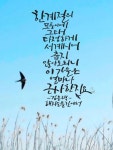 캘리그라피에 있는 정혜경님의 핀 - 2023 | 시, 칼리그래피 아트