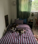 괜시레 파아란 하늘 한번 더 올려다보게되고 그렇더라 ☁️ 나의... 괜시레 파아란 하늘 한번 더 올려다보게되고 그렇더라 ☁️ | 하늘, 걷기... 