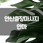 안산출장마사지 in 2021