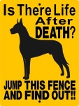 Funny에 관한 10개의 최상의 Pinterest 이미지 | Great danes, 강아지 및 웃긴 동물 Funny