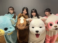 「위비 프렌즈 청춘 프로젝트」の検索結果 - Yahoo!検索（画像）【2023】 | きぐるみ, アニメ 衣装, 着ぐるみ