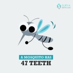 Surya Dental Care에 있는 핀