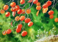 감에 있는 예진 정님의 핀 | 유화, 과일 그림, 꽃 수채화