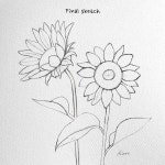 Instagram의 🌲Kate Kyehyun Park🌲님: “- How to sketch sunflowers step by step for beginner.🌻 그림 숙제라며 해바라기 스케치를... 