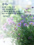 Bible Quotes #성경구절에 있는 Go Eun Kim,님의 핀 | 성경 구절, 감사 일기, 성경
