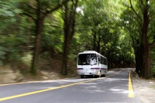 청남대 진입로를 달리는 청남대 셔틀버스