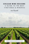 Chilean Wine Regions: A Guide To The Best Vineyards & Wineries | Chilean wine, Wine region, Chile wine