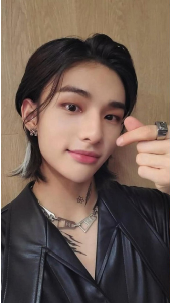 Pin on Stray Kids (스트레이 키즈)