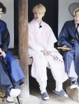 韓服에 있는 핀