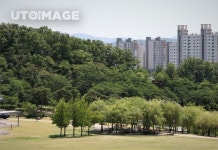 걷고 싶은 힐링 공간 도심 공원  Yanggiri, 사진, 힐링, 공간, 도심, 공원, 쉼터, 변신, 자치단체, 조성, 활용, 숲, 나무, 잔디, 문화, 산책, 산책로... 