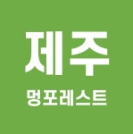 제주 멍포레스트 예약 2021년 12월 (멍포레스트 입장권 할인 예매 꿀팁)