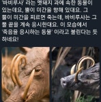 연성소재에 있는 closetfullofske님의 핀 | 영감 인용구, 창작 문예, 영감을 주는 인용구
