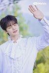 Pinterest - 2023 | 사인, 멜론, 뮤직 비디오