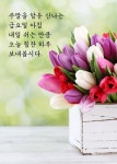 주말을 앞둔 금요일 아침