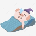 돼지 세계 수면의 날, 돼지 세계 수면의 날, 잠, 졸린 PNG 일러스트 및 PSD 이미지 무료 다운로드 - Pngtree