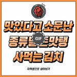 맛있다고 소문난 사먹는 김치 완벽 추천서 - 지식사이트