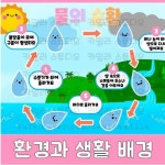 카밀라♡ 물의 순환 환경판 / 물의 여행 환경구성/환경과생활 환경구성/ 유치원 환경구성 /어린이집 환경판 도안자료모음