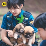 Once Upon a Small Town / 어쩌다 전원일기 Once Upon a Small Town / 어쩌다 전원일기 | Animals, Small towns, Park sooyoung