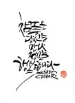 푸푸꽃캘리 | 꽃 세밀화 | 캘리그래피, 붓글씨