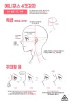 애니포스 4컷강좌 : 얼굴 구도, 유형(2)