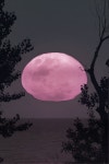 Moon에 관한 88개의 최상의 Pinterest 이미지 | 달빛, La luna 및 Harvest moon Moon