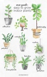 Top Tips, Tricks, And Methods For That Perfect garden tips #gardentips | 실내식물, 실내용 화초, 화분 식물