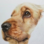 색연필 1 (colored pencil)에 있는 핀