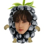 Чанбин(찬빈)🐷🐰 nel 2024