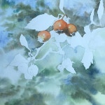 drawing #painting#botanicalart #botanical #수채화 #보타니컬아트 #보태니컬아트 #그림#드로잉… | Painting, Art