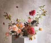 - 겨울 취미반. 원데이클래스. . . 곧 따로… | 플로리스트, 꽃무늬, 겨울 프리스실라 플라워 on Instagram: “프리스실라 💜 . . . 11,12월 수업을... 