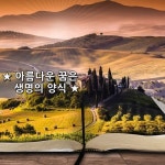 ★ 아름다운 꿈은 생명의 양식 ★    인간은 꿈을 잃을 때  건강을 잃어... 인간은 부지런해진다 쉴 사이가 없는 것이… | 명언, 아름다운, 좋은 글귀