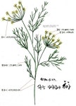 생활자수에 있는 해심 문님의 핀