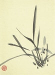 Cymbidium goeringii | 난초, 실루엣 그림, 그림