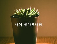 [힐링타임] 내가 살아보니까 #명언 #힐링 #공감 #고민 #좋은글 #비밀 #기억 - 2020 | 생각, 명언, 좋은 말