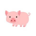 돼지 일러스트 PNG, AI 무료 다운로드 (2019년)