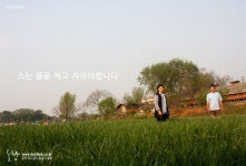 4.2000.20.60.960   오랜만에 목장에 찾아갔더니, 김호기농부님과 이선애... 생겼고, 농장에는 적정 규모가 있어 송아지를 내다 팔아야하는데... 