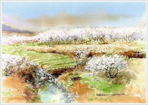 신종식 화백의 색 맑은 수채화 그림