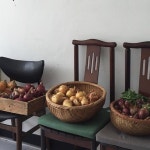 꽃비원 가족의 아이, 원호는 놀이터나 다름없는 농장에서 농작물이 자라나는 모습과 채소의 맛을 기억하면서 계절의 변화를 깨닫게... 