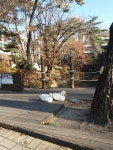 오랜만에 찾아온 나의 학교, SNU ☺ 자하연~💖 오늘 날씨 너무 추운데 , 여긴 뜨겁다! | Wallpaper, Sidewalk