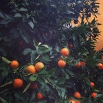 絵画教室の資料에 있는 のりこ님의 핀