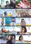 [리뷰IS] 역대급 해녀밥상…편스토랑 한지혜, 제주 앞바다 풍덩 - 2020
