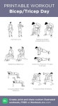 Bicep/Tricep Day: my visual workout created at WorkoutLabs.com • Click through to customize and download as a FREE PDF!... 