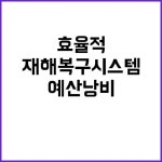 효율적 재해복구시스템 예산낭비 방지의 비밀! | 대구진 효율적 재해복구시스템 행안부의 예산낭비 방지! | 대전진 in 2024