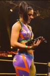 https://butiche.com/partner2/ - 코인카지노 | Female wrestlers, Nxt divas, Womens wrestling 