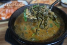 전통 보양식 추어탕  Yanggiri, 사진, 전통, 보양식, 보양, 부추, 추어탕, 시래기, 우거지, 미꾸라지, 한식, 몸보신, 음식, 영양, 국밥, 뚝배기... 